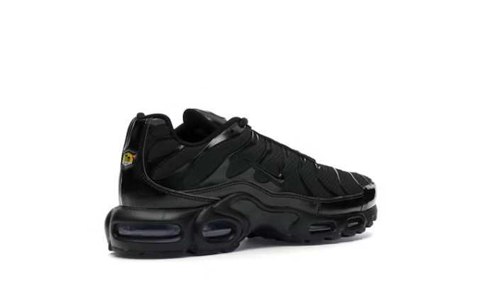 Air Max Plus Triple Black