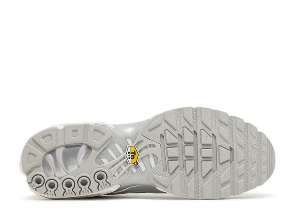 Nike Air Max Plus 'Metallic Silver'