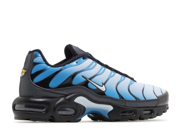 Nike Air Max Plus 'Neptune Blue'